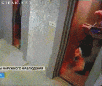 0D646EC5-6EED-4826-9721-662B45B83345.gif