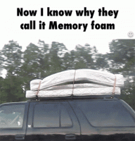 51991182-E6A2-4E03-9048-4CDE94A4254F.gif