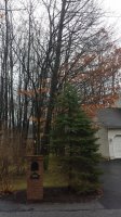 20180224_102228.jpg 20180224_102228.jpg