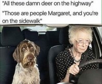 01-funny-pics19-1.jpg