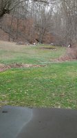 20180225_135325.jpg