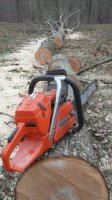20180226_103732.jpg