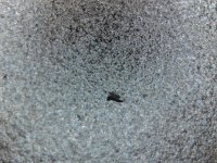 Metal Shard.jpg