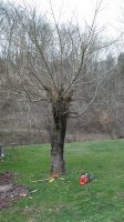 20180228_134131.jpg