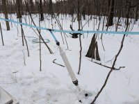 rps20180302_191242_414.jpg rps20180302_191242_414.jpg