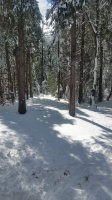 20180304_124921.jpg