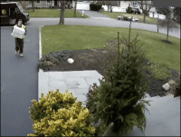 7FEB043D-AC3E-4A2D-A232-8D075A97A5F7.gif