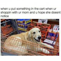 random-memes-thatll-make-you-spit-out-your-morning-coffee-july-12-2017-27.jpg