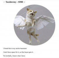 20180305_121821.png