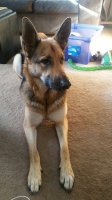 20180227_185842821.jpeg