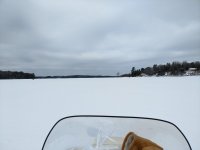 IMG_20180307_102617634.jpg