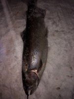 IMG_20180307_200417629.jpg