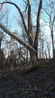 20180311_180236.jpg