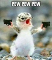 c7699b079bf563cd20c12539daf8a931--baby-animals-funny-animals.jpg