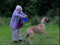 the-dumbest-painfully-embarrassing-ways-people-accidentally-hurt-themselves-8.gif