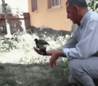 expect-laughs-with-these-unexpected-gifs-26-photos-7 (1).gif