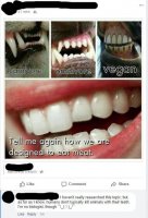 85606461.jpg