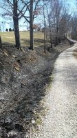 20180319_144508.jpg