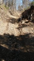 20180319_143252.jpg