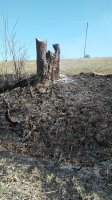 20180319_144410.jpg