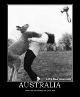 lolcaption-funny-demotivational-postes-australia-where-even-animals-kick-your-ass.jpg