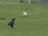 the-weekend-is-in-sight-now-we-just-dgaf-25.gif