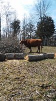 20180326_135417.jpg