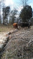 20180326_135859.jpg