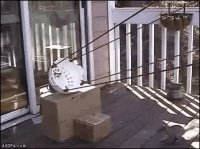 1ninetymiles2658T1s391qwo1_400.gif