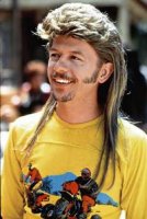 joe-dirt-wig1.jpg