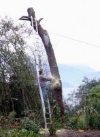 dumb-stupid-people-morons-darwin-awards-32.jpg