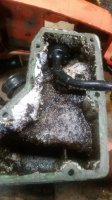 20180329_162404.jpg