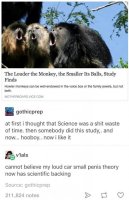 85615507.jpg