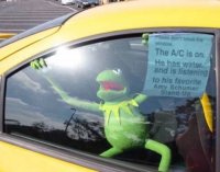 best-memes-of-the-week-34-photos-229.jpg