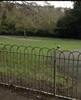 weekend-morning-awesomeness-38-photos-4.gif