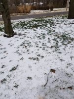 20180401_182059.jpg