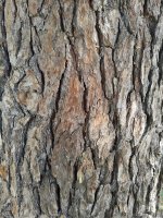 IMG_20180402_1149560-01.jpg