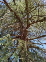 IMG_20180402_1152056-01.jpg