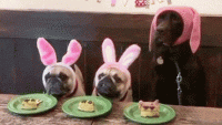 daily-morning-awesomeness-35-photos-3.gif