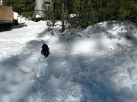 IMG_20180404_160550976_BURST001.jpg