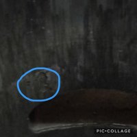 0BC0E388-E840-4C06-A15A-71362223B8F6.jpeg