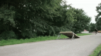 FEF9C244-B207-409C-9402-B07A37E943AC.gif