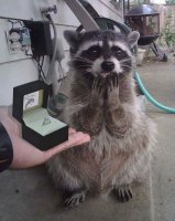 we-could-all-use-a-little-more-happiness-photos-9.jpg
