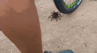 sht-happens-sometimes-25.gif