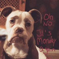daily-morning-awesomeness-april-5.jpg