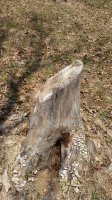 20180411_122906.jpg