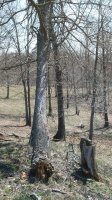 20180411_121447.jpg