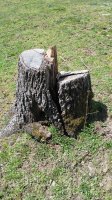 20180411_130614.jpg