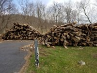 20180412_104948.jpg