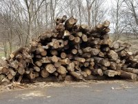 20180412_104918.jpg